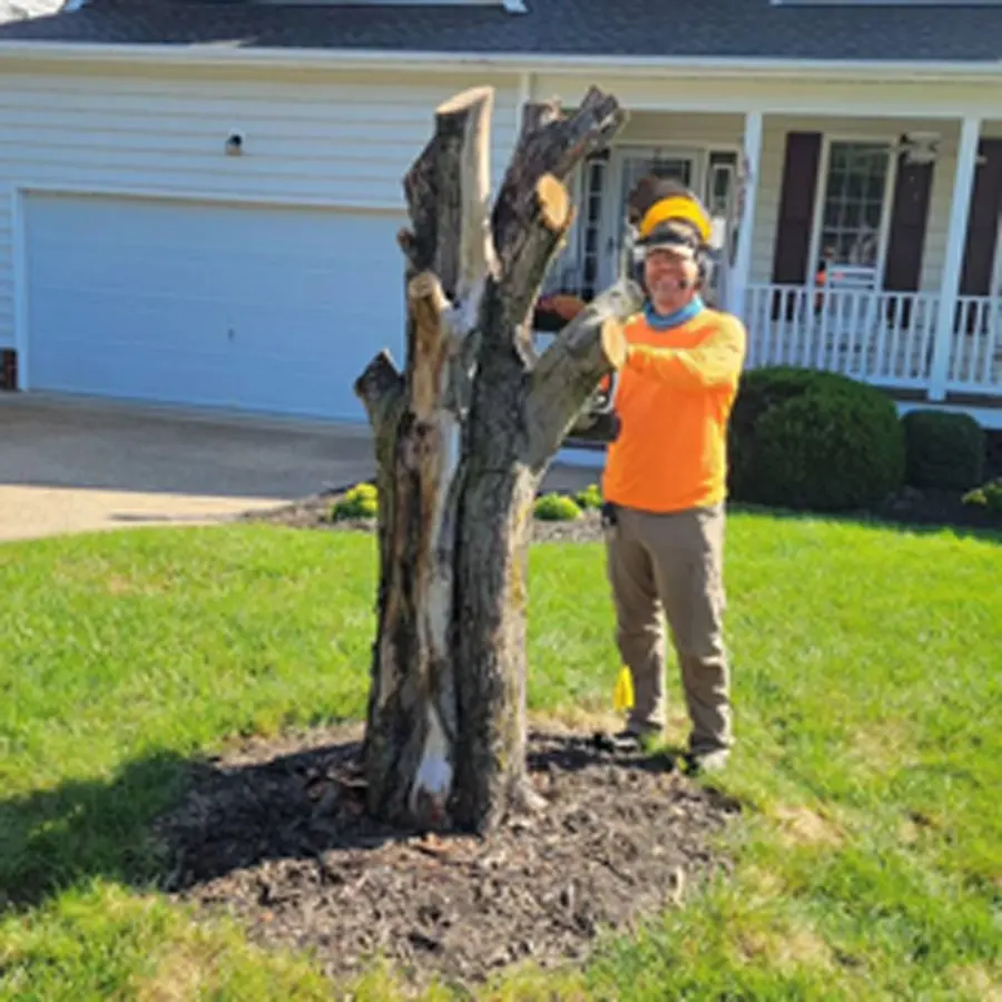 Tree removal worker standing beside a partially removed tree trunk in a residential yard