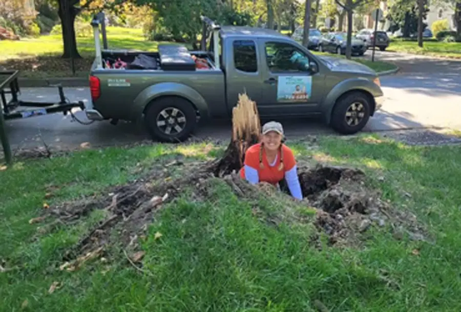 Bloom Stump Removal service truck parked beside a freshly ground tree stump